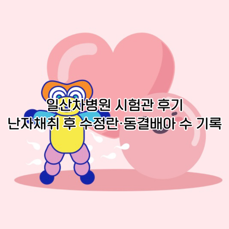  일산차병원 시험관 1차｜난자채취 후 수정란·동결배아 수 기록 (시험관 시술 후기)