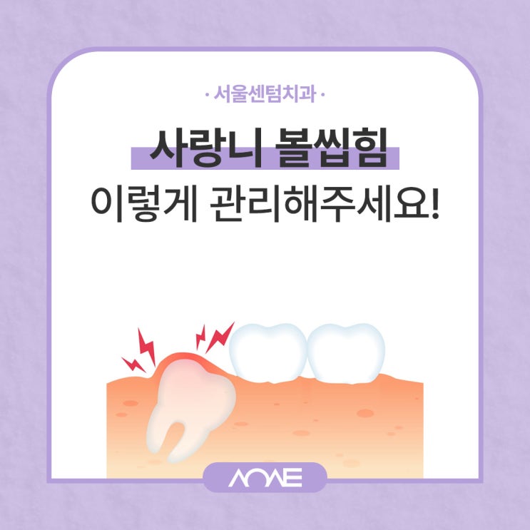  사랑니 볼씹힘 이렇게만 관리하세요