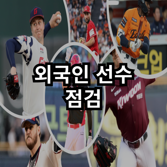 어빈 / 데이비슨 / 위즈덤 & 플로리얼 / <b>화이트</b> / 로젠버그