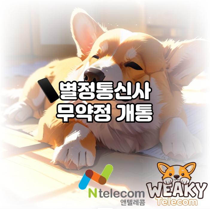  별정통신사를 통해 가성비 요금제를 무약정으로 개통하여 사용해 보자!