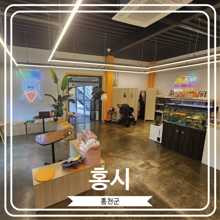  [홍시] 개별 룸을 갖추고 있고 애견동반도 가능한 홍천비발디파크밥집