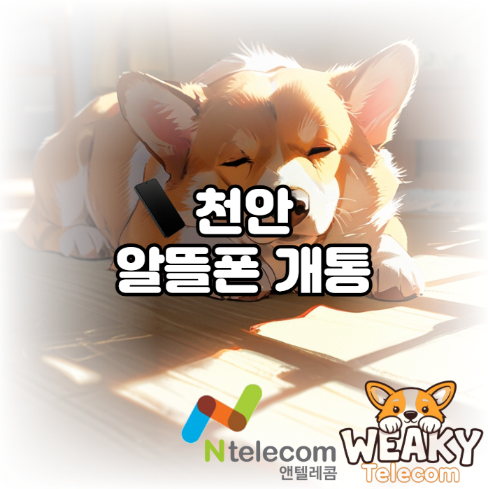  천안 알뜰폰 개통 누구나 쉽고 간편하게 진행하는 방법 알아보기