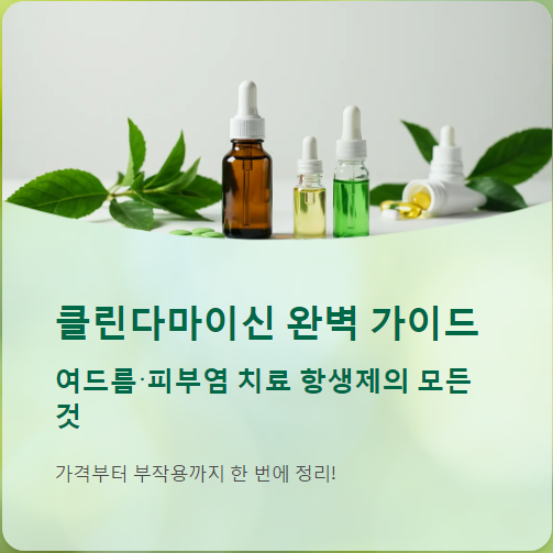  클린다마이신 가격, 복용법, 부작용, 후기까지 여드름 피부염 치료제!!