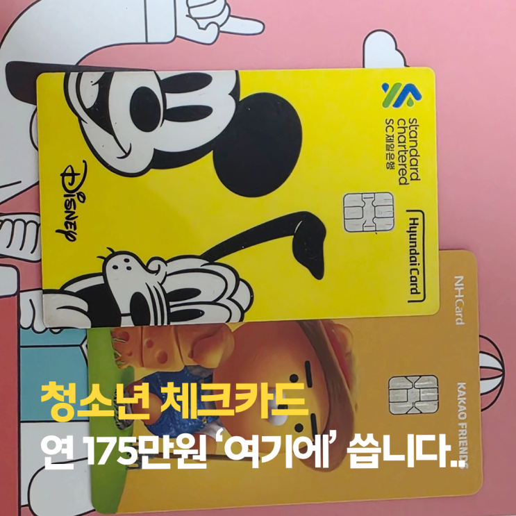  10대 청소년 "연 175만원" 체크카드 어디에 쓸까?