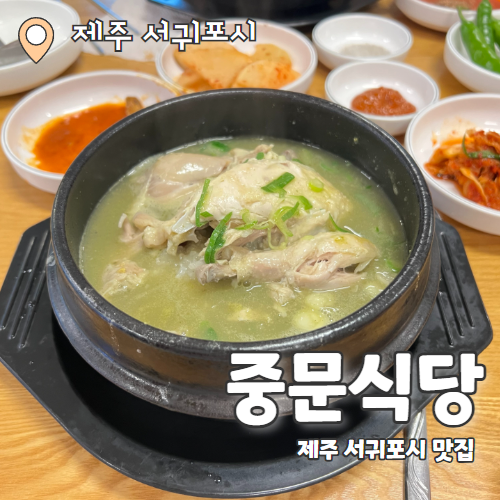  중문식당 : 제주 서귀포시 맛집 보양식 보말삼계탕 중문 맛집 추천후기