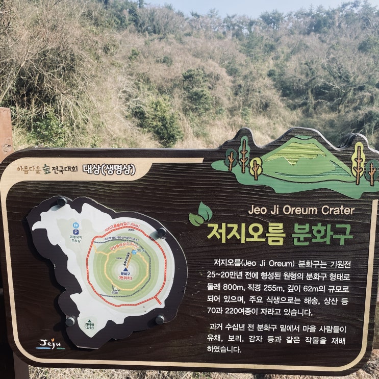  [제주 한경면 오름 추천] 산책하기 좋은 저지오름, 정상과 분화구까지