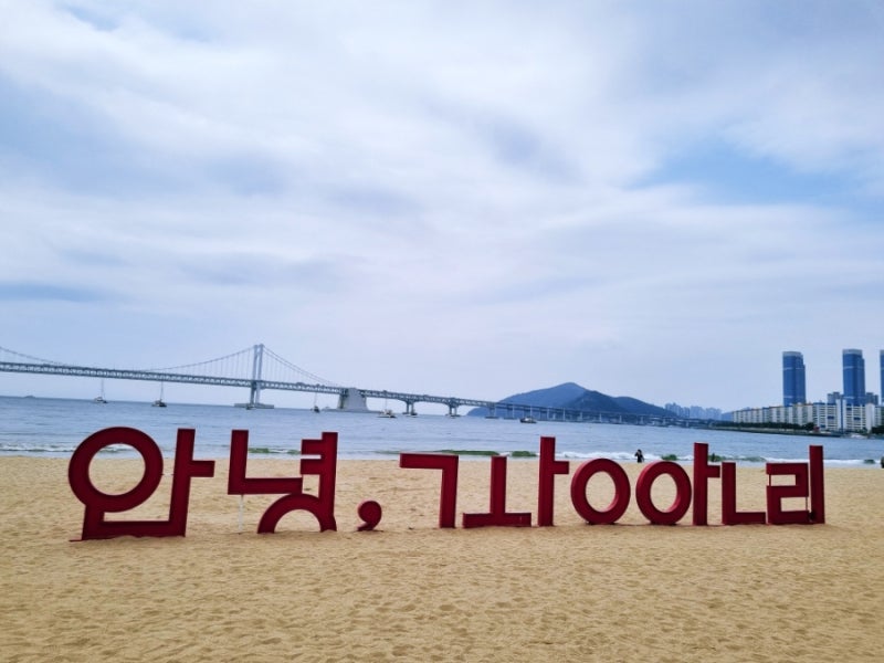 사진 2