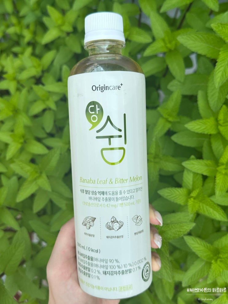 혈압 당뇨에 좋은차 | 맛 좋은 오리진케어 당쉼 돼지감자차
