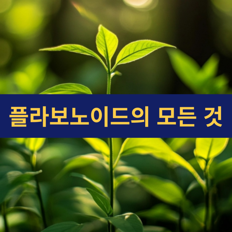  플라보노이드 효능 | 플라보노이드 풍부한 음식 | 자연이 주는 항산화 쉴드