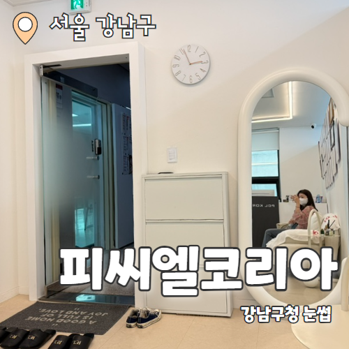  피씨엘코리아 : 강남구청역 짱구눈썹은 이제 그만 패더링눈썹 잘하는 곳 추천 후기