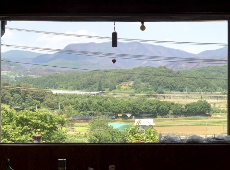  의성 안계 맛집｜의성펫월드 근처 애견동반 식당 황토오리마을 솔직 리뷰