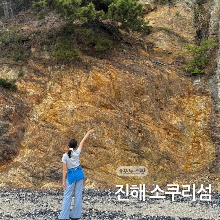  부산 근교 가볼만한곳 소쿠리섬 포토스팟 사슴 보고 싶다면 여기로