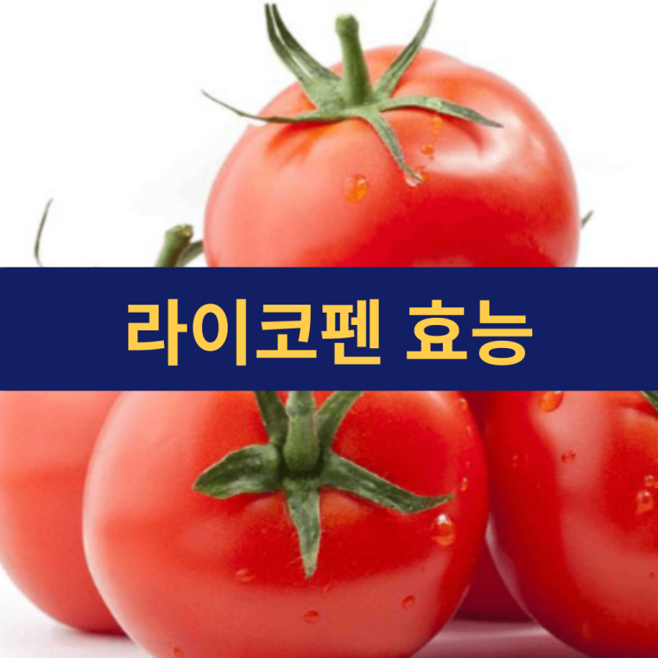  라이코펜 효능 | 라이코펜 음식 | 토마토 효능 | 토마토 속 붉은 보물