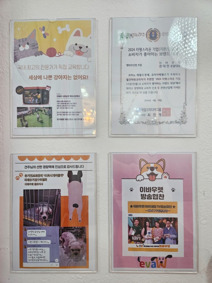  연제구 연산동 애견미용학원 후기 알려드려용