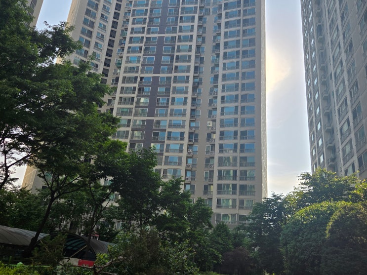 2025년 <b>대선</b>이후 대구 <b>부동산 전망</b>