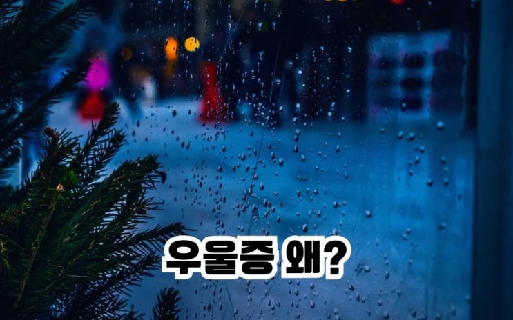  우울증 초기증상 우울증 진행 과정 우울증에 좋은음식