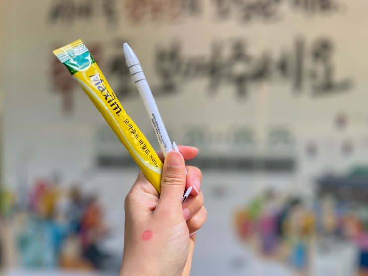 해외에서도 소중한 한표 행사하기 | 재외국민투표
