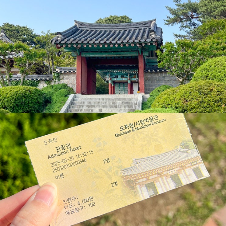  강릉여행코스 볼거리 체험 많았던 오죽헌