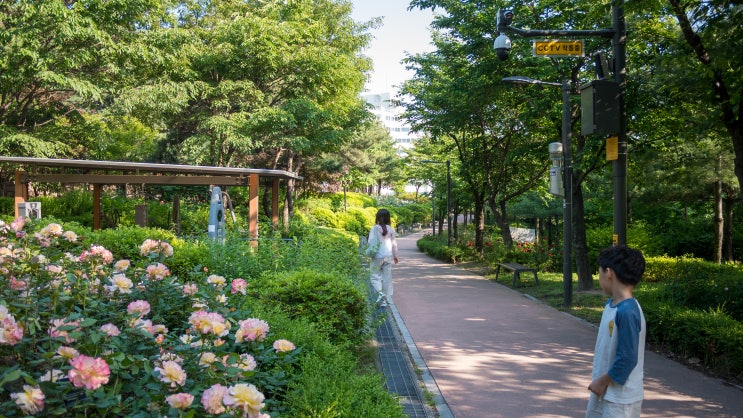 엄마도 모르는 아빠만 아는 피치의 행동