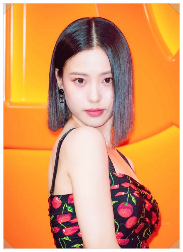  배우 고민시 학폭 폭로 글 등장 또 터진 연예인 과거 논란?