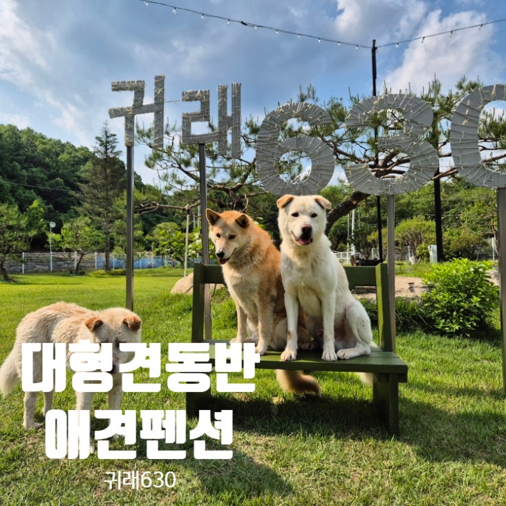사진 4