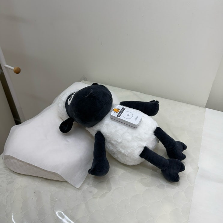  [건대왁싱] 깔끔하고 덜 아픈 왁싱샵, 건대입구 수뷰티 방문 후기