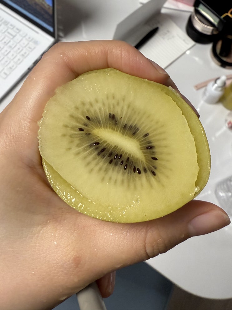  250526 식단기록