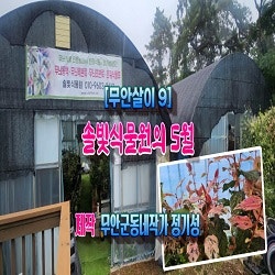 솔빛식물원 사진 1