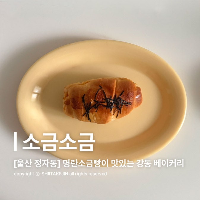  [울산 정자 맛집] 울산 소금빵 맛집 투어! 정자항 근처 소금빵 전문 베이커리, 소금소소금
