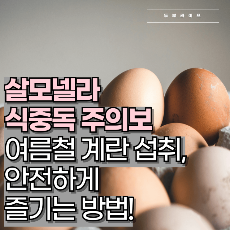  살모넬라 식중독 주의보 여름철 계란 섭취, 안전하게 즐기는 방법!