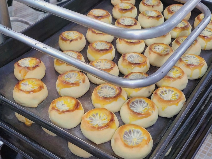 경주찰보리빵을 맛보며 대릉원 근처의 찰보리떡을 경험하다