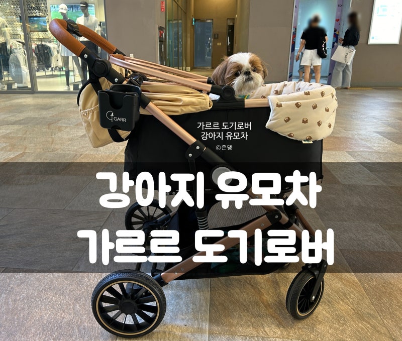 일체형 강아지 유모차 가르르 유모차 도기로버 골드 개모차 내돈내산 후기 추천.