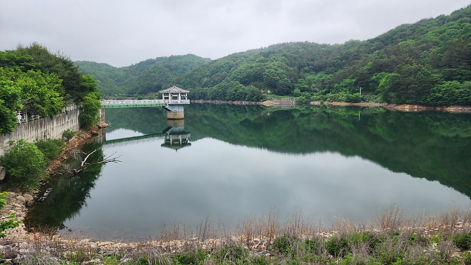 도림저수지 사진 5