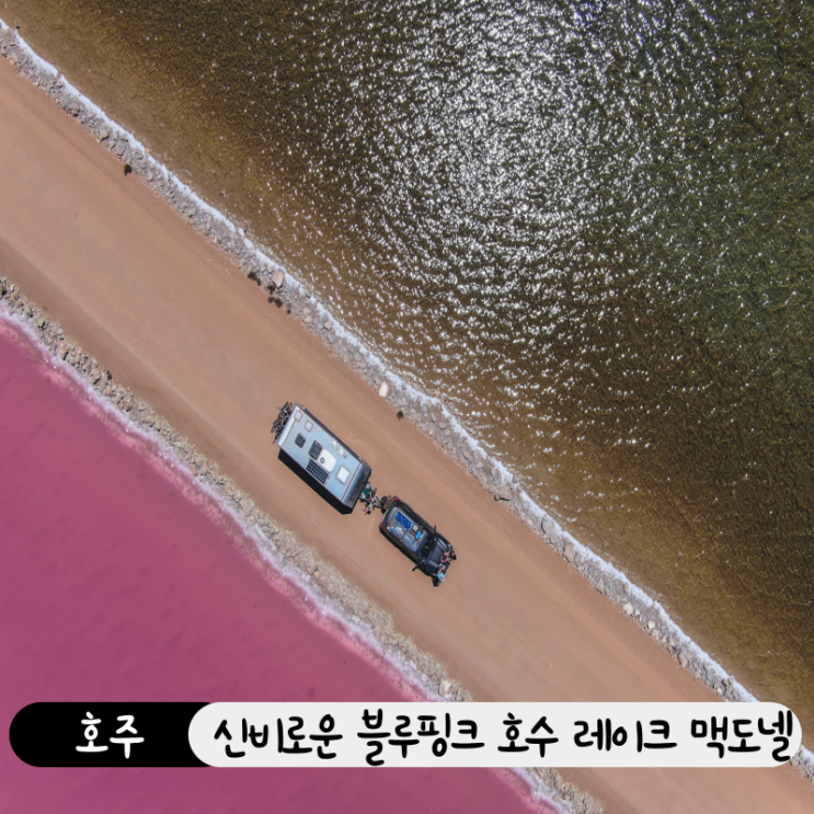 호주 남부 레이크 맥도넬(Lake MacDonnell) 블루핑크 호수의 모든 정보 ! 가는 방법, 준비물