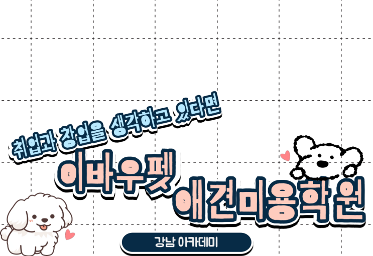  강남 대치동 애견미용학원 솔직 후기 알려드릴게용