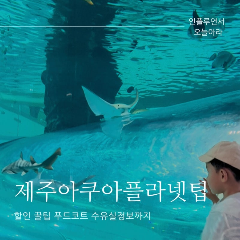 제주 아쿠아플라넷 할인꿀팁 푸드코트 수유실 정보후기