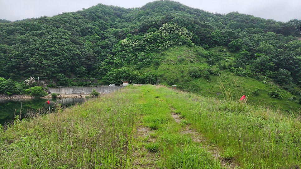 도림저수지 사진 4