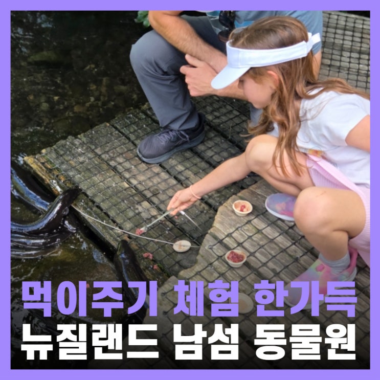  뉴질랜드 크라이스트처치 여행 가볼만한곳 동물원 윌로뱅크