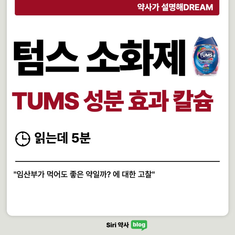 임산부 소화제 텀스 tums 알아보기