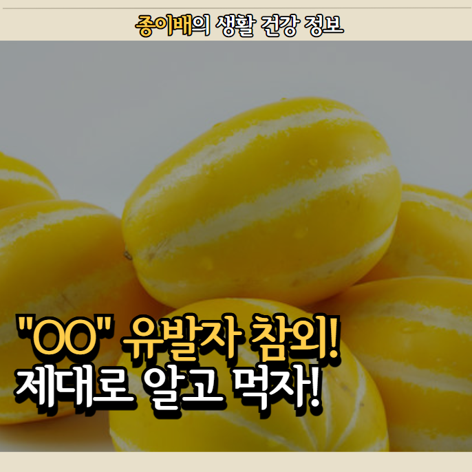  "OO" 유발자 참외! 제대로 알고 먹자!