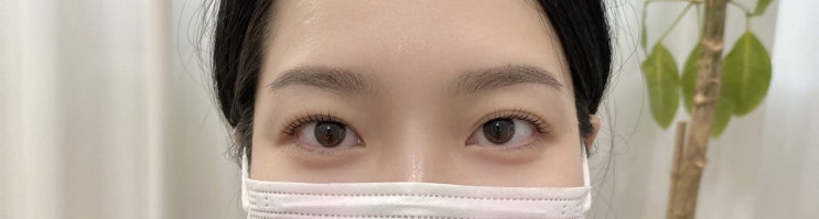  [사당역] 브로우더숨 : 컬링 짱짱한 속눈썹펌 후기