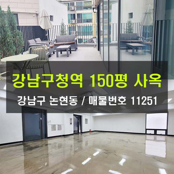  논현동사옥 임대 150평 테라스사옥 엔터사옥 지하층고높은 스튜디오
