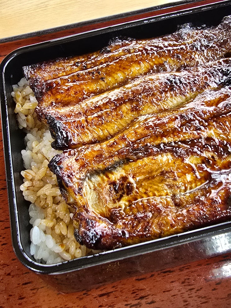  시즈오카 여행 하마마츠 맛집 장어덮밥이 맛있는 우나신