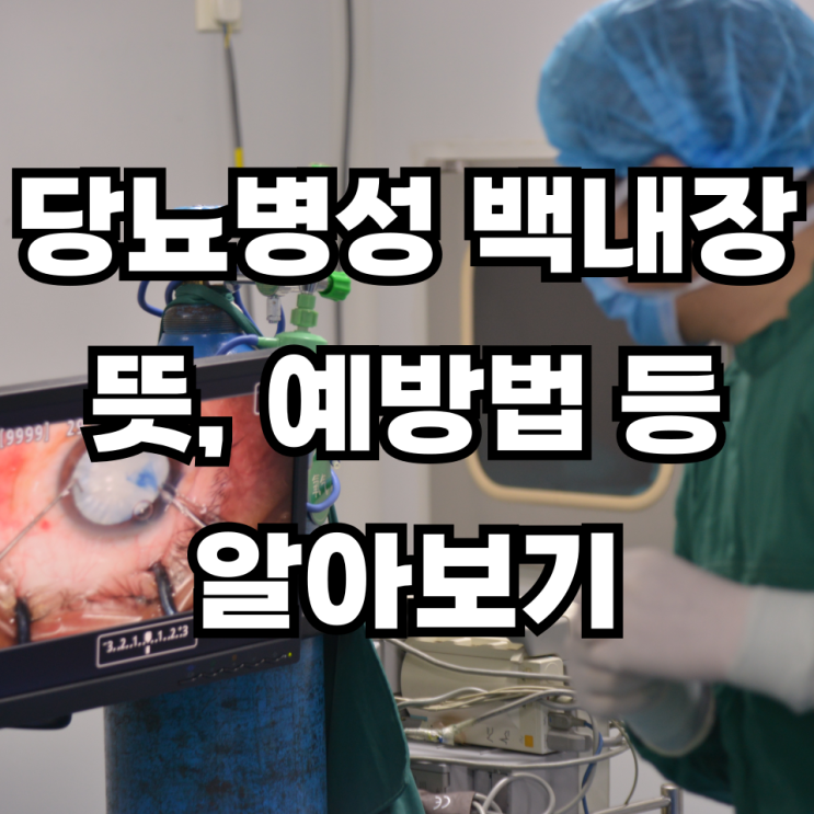 당뇨병성 백내장 뜻 예방법 노인성 백내장 차이점 알아보기