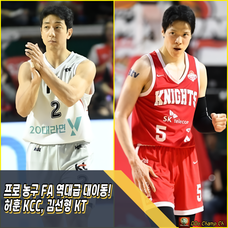 프로 농구 FA 역대급 대이동! 허훈 KCC, 김선형 KT 승자는... 