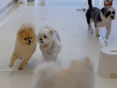 사진 5