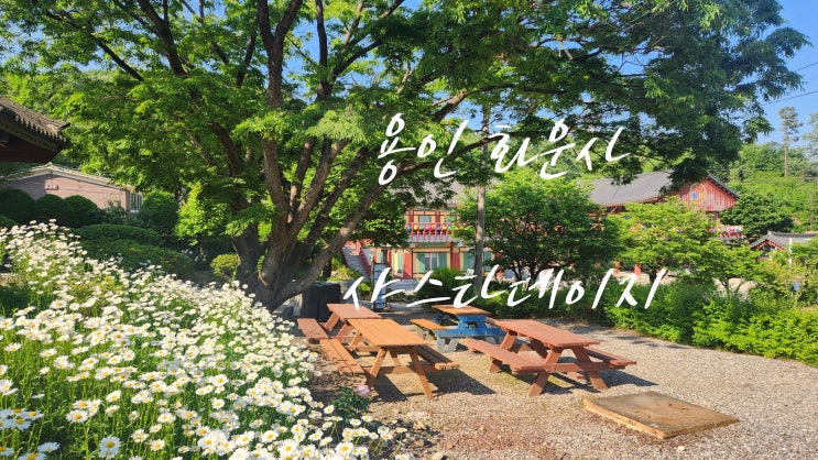  용인 사찰 화운사, 하얀 샤스타데이지가 반겨주는 힐링 공간