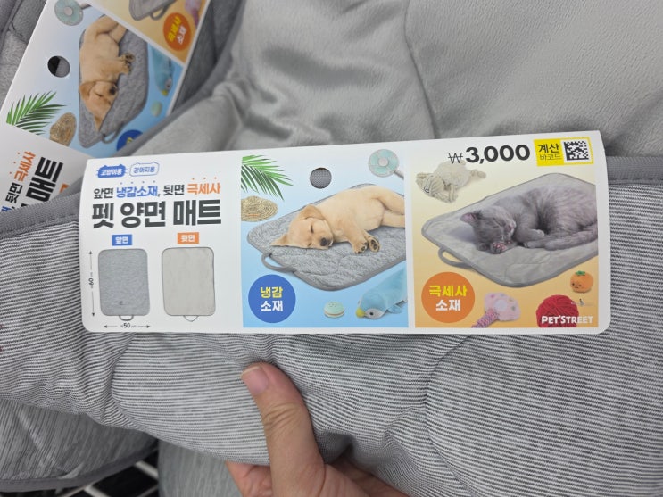  집사님들이 지금 다이소 가야하는 이유 고양이 용품 신상출시!!