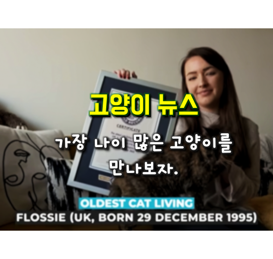 Flossie는 30살! 세계에서 가장 오래 살아있는 고양이