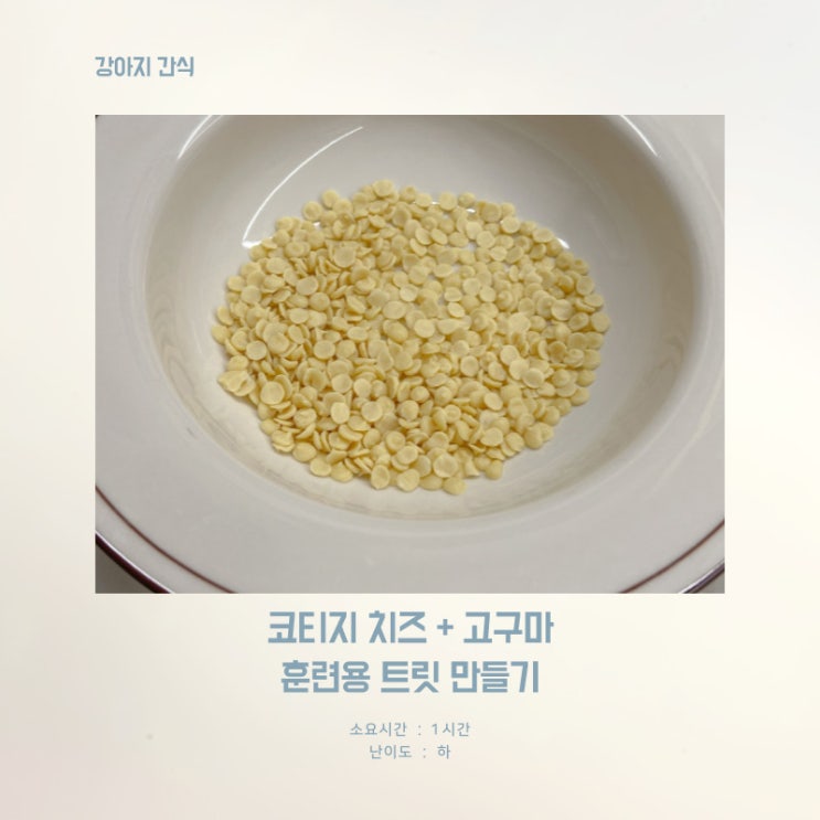  강아지 수제간식 만들기 코티지치즈와 고구마를 이용한 훈련용 트릿 레시피